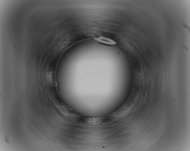 X0000096650088200802191253