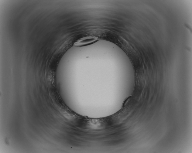 X0000096650091200802191253