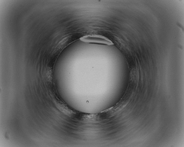 X0000096650092200802191253