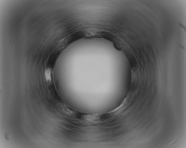 X0000096650094200802191253