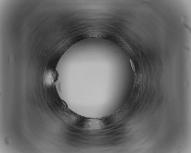 X0000096650095200802191253