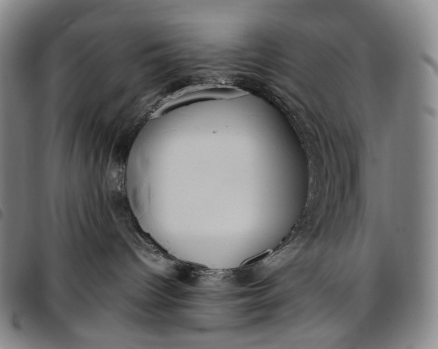 X0000096650096200802191253