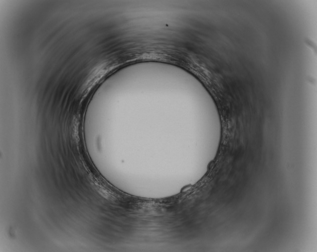 X0000096650098200802191252