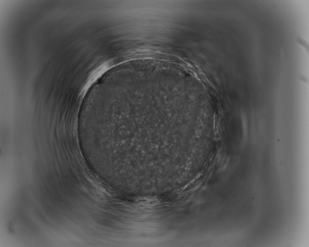 X0000096650099200802191252