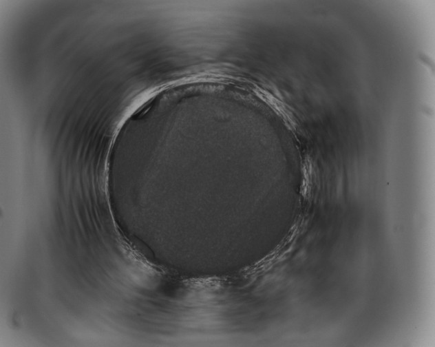 X0000096650100200802191252