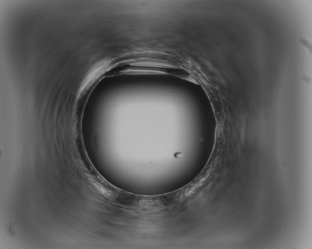 X0000096650101200802191252