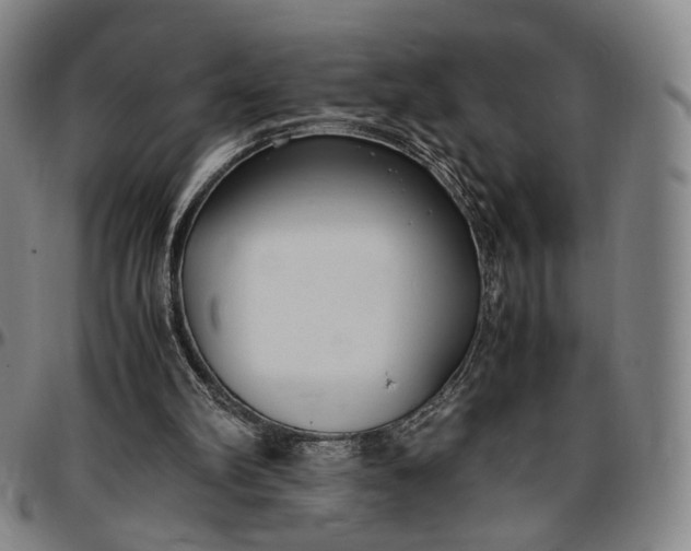 X0000096650102200802191252