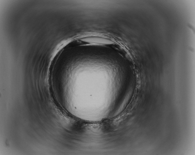 X0000096650104200802191252