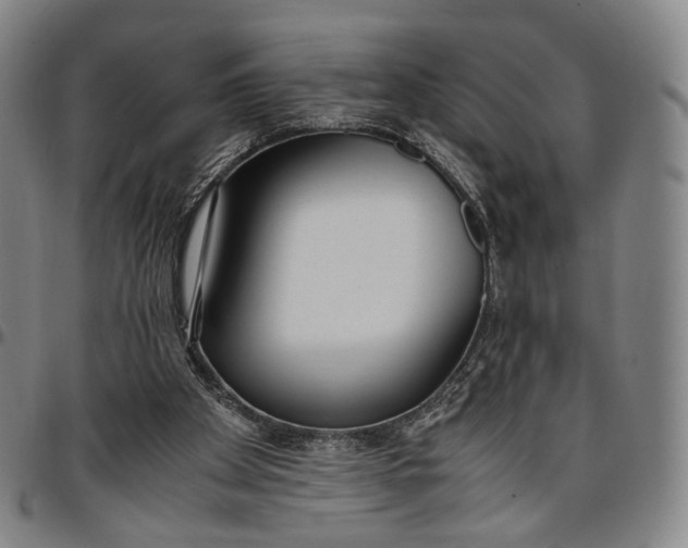 X0000096650105200802191252