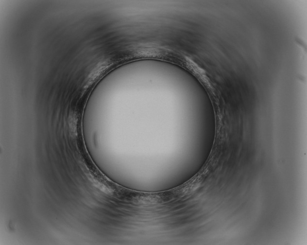 X0000096650106200802191252