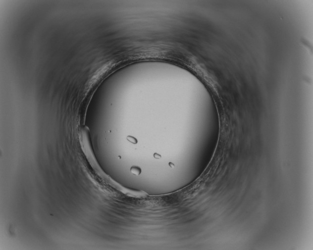 X0000096650107200802191252