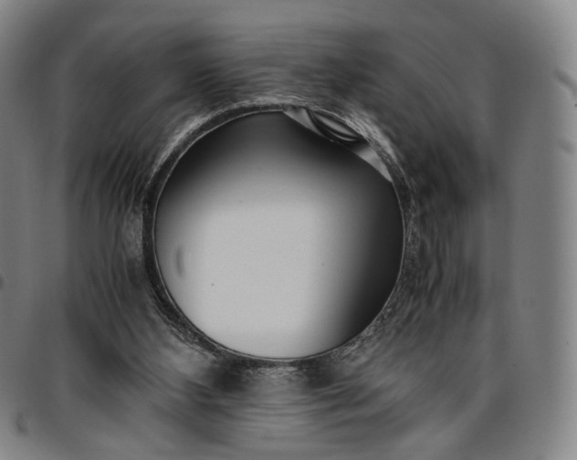 X0000096650108200802191252