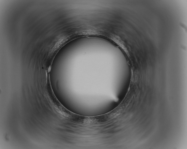 X0000096650109200802191252