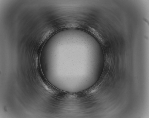 X0000096650110200802191252