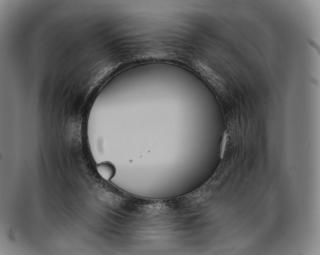 X0000096650112200802191252