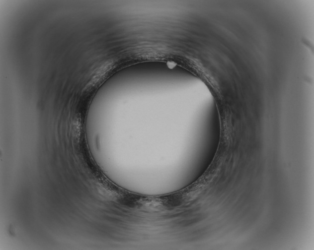 X0000096650113200802191252