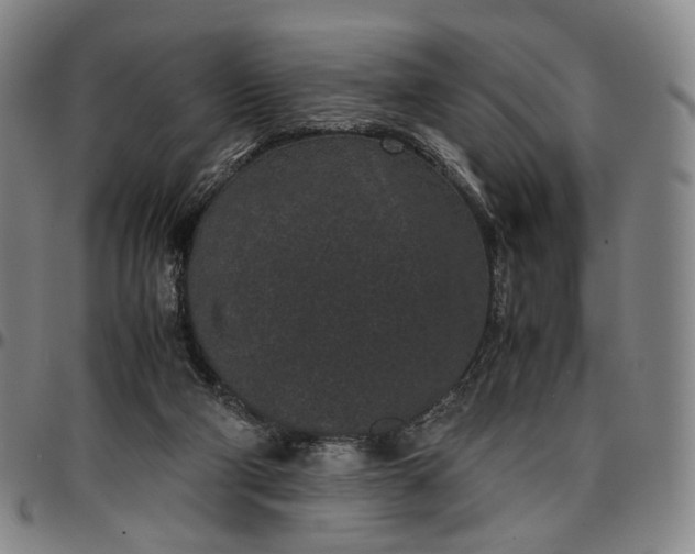 X0000096650114200802191252