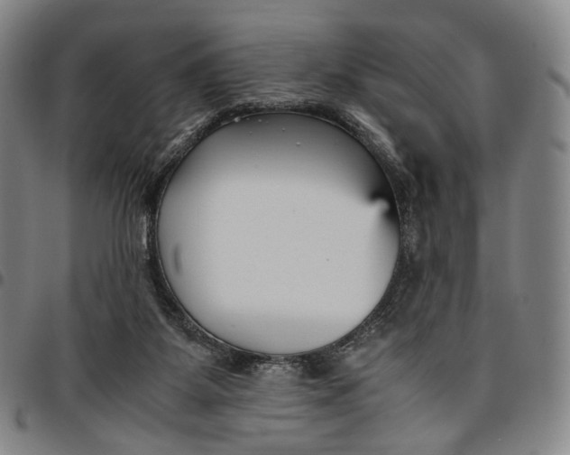 X0000096650115200802191252