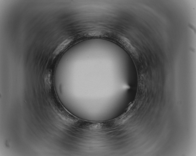 X0000096650116200802191252