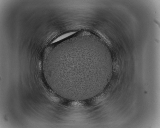 X0000096650117200802191252