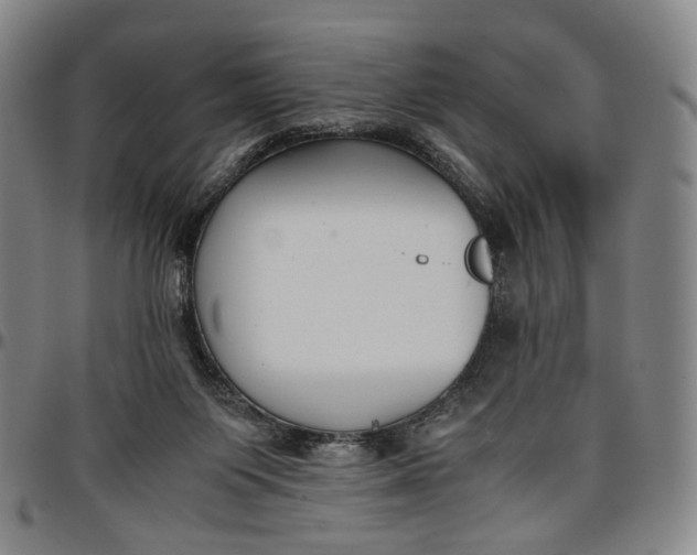 X0000096650119200802191252