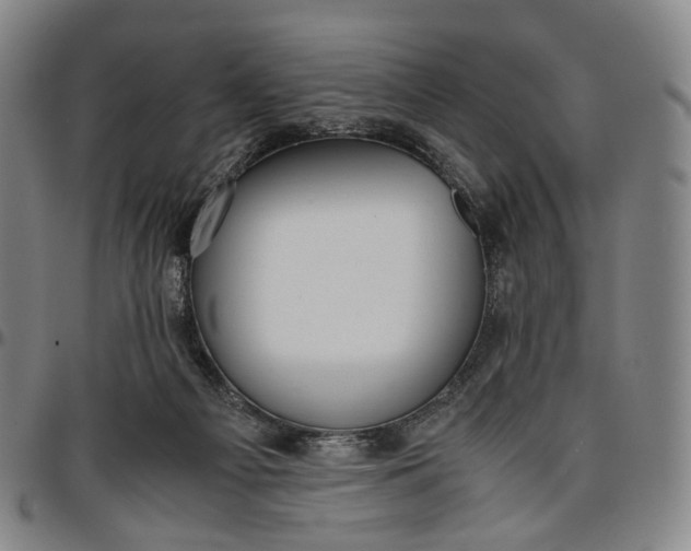 X0000096650121200802191252