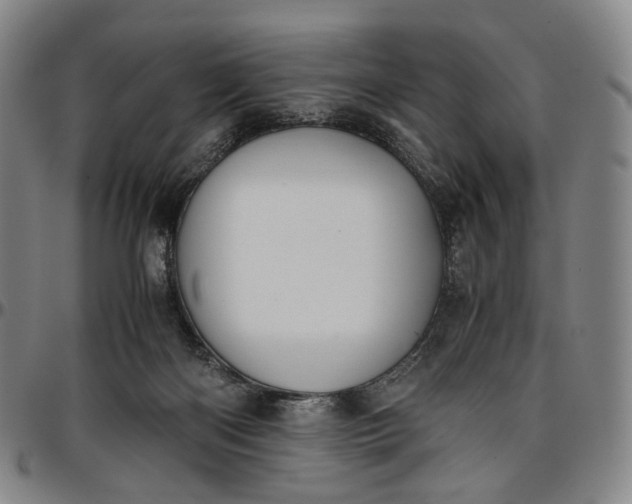 X0000096650122200802191252