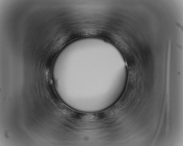 X0000096650123200802191252