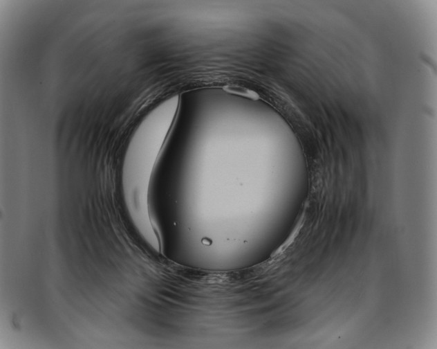 X0000096650124200802191252