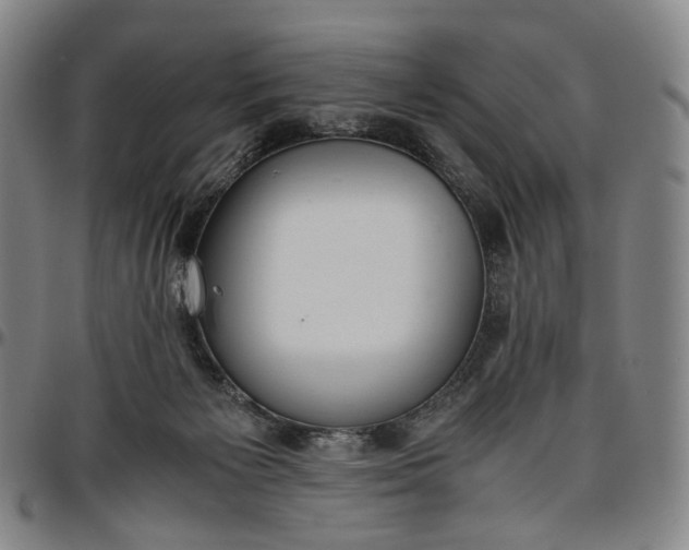 X0000096650125200802191252