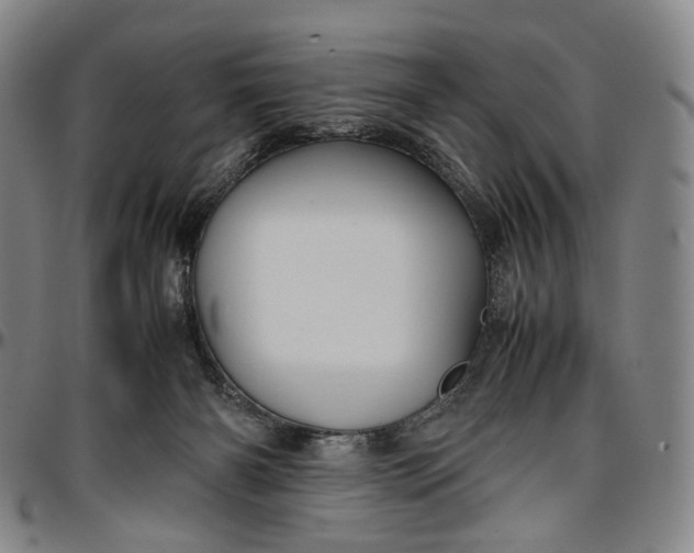 X0000096650126200802191252