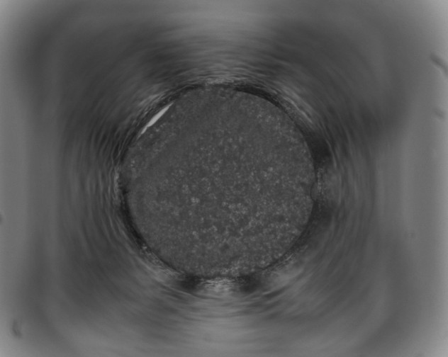 X0000096650127200802191252