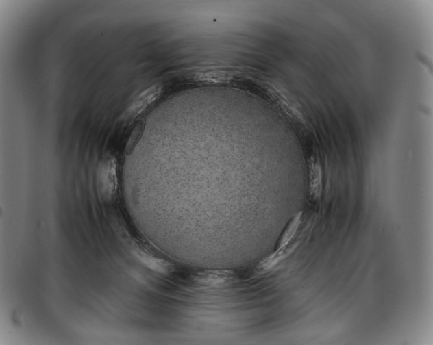 X0000096650128200802191252