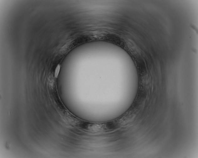 X0000096650129200802191252