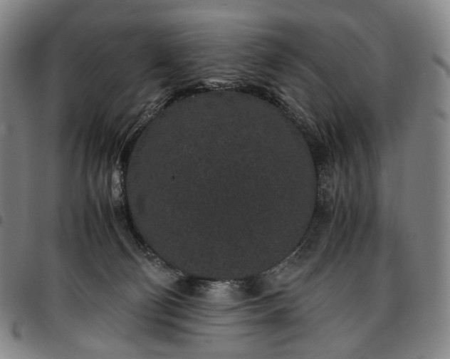 X0000096650130200802191252