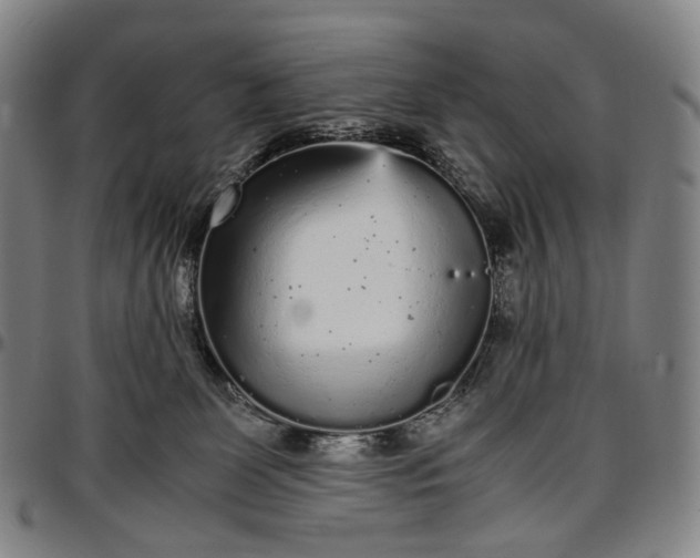 X0000096650131200802191252