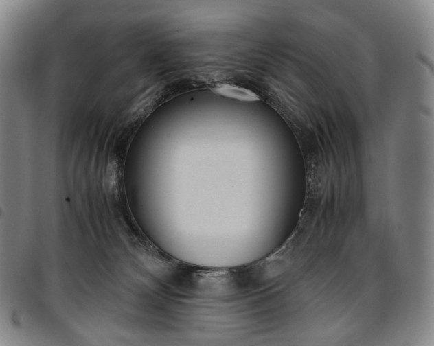 X0000096650132200802191252