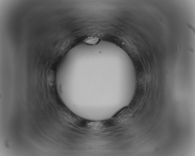 X0000096650133200802191252