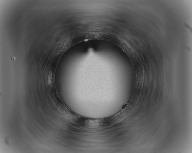 X0000096650134200802191252