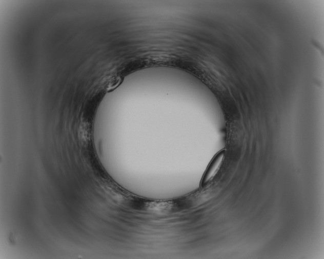 X0000096650135200802191252