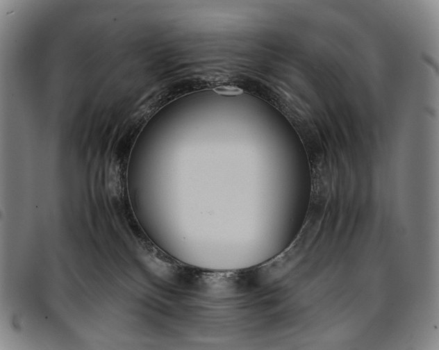 X0000096650136200802191252