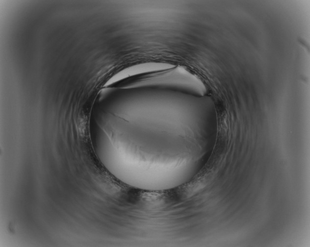 X0000096650139200802191251