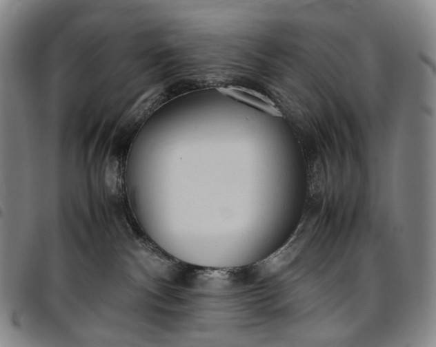 X0000096650140200802191251