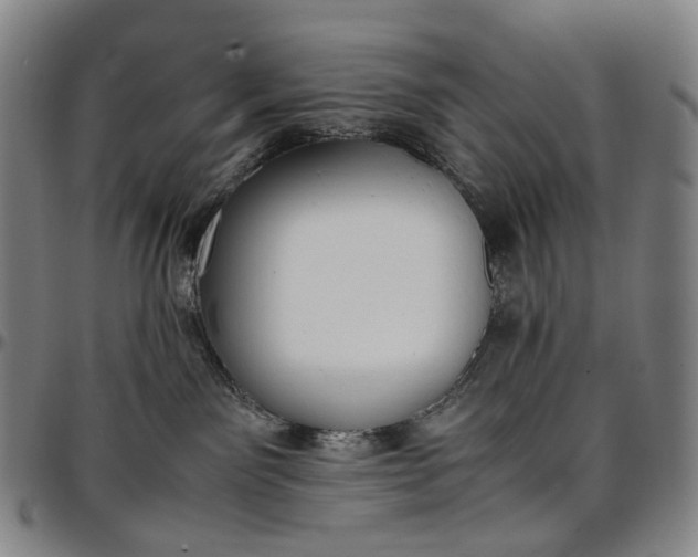 X0000096650141200802191251