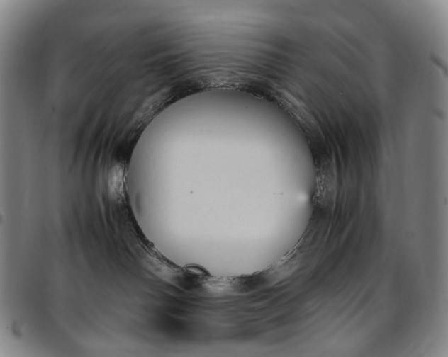 X0000096650142200802191251