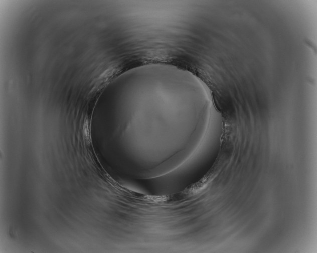 X0000096650143200802191251