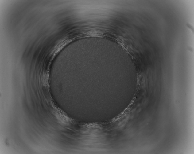 X0000096650146200802191251