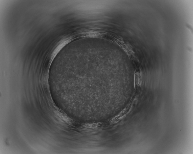 X0000096650147200802191251