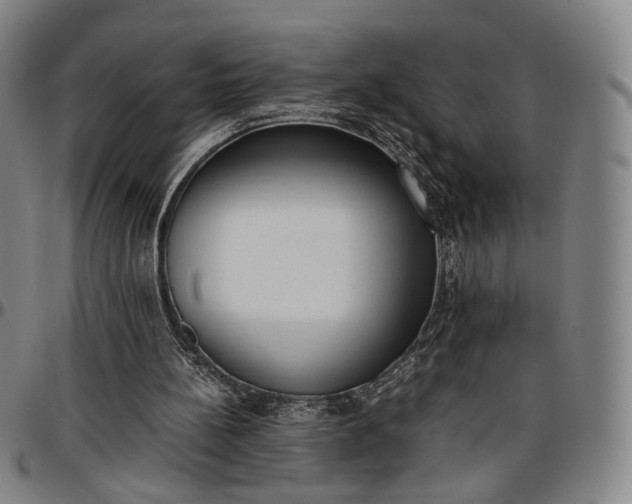 X0000096650148200802191251