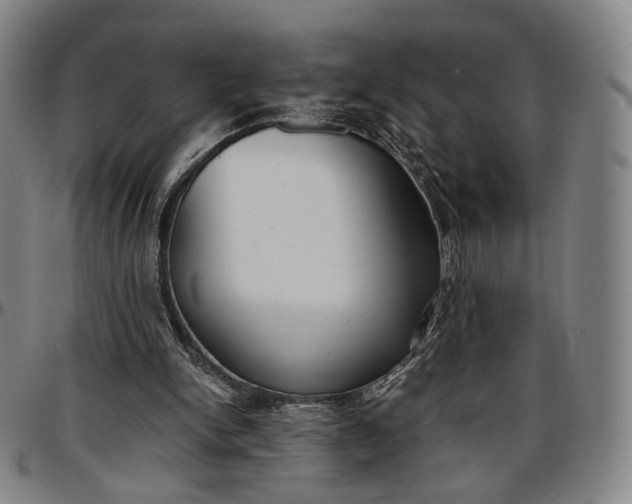 X0000096650150200802191251